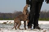ADULTE ET CHIEN 211